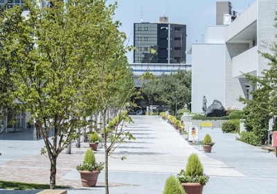 昭和女子大学附属昭和中学校—9年間入試と研究: 19年度中学受験用 (25) Amazon.co.jp: 昭和女子大学附属昭和中学校 2026年度用 7年間