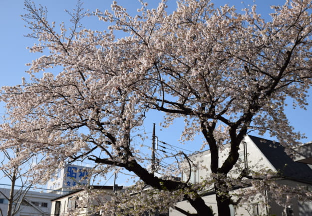 ④-625x433