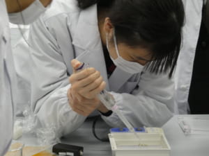 221028-PCR-試料調整④-300x225