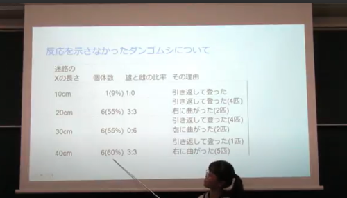 ダンゴムシ