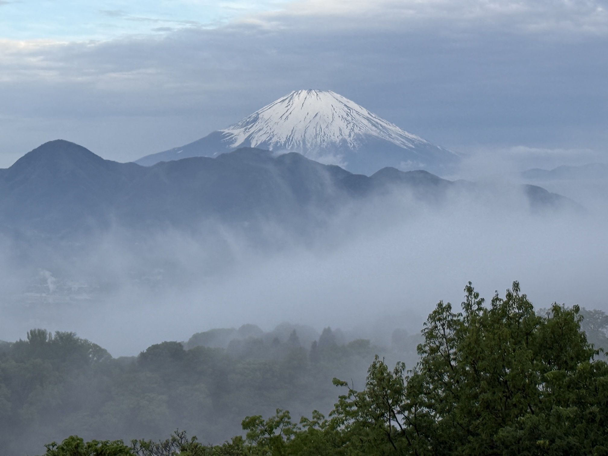 C24B35AC-1326-4569-B363-3EDF78096B46
