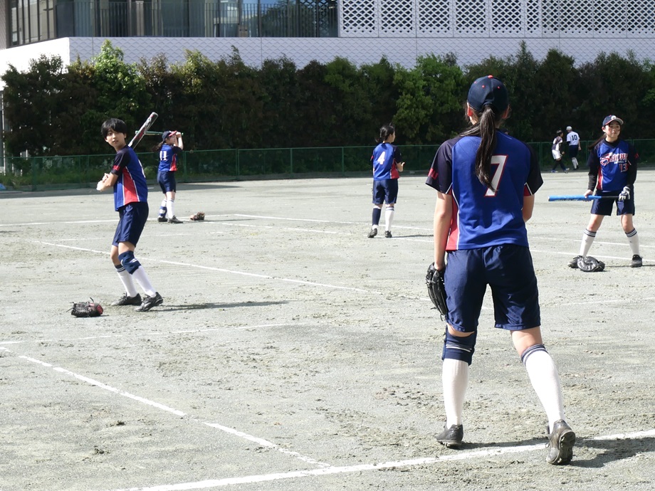 ソフト7 (1)