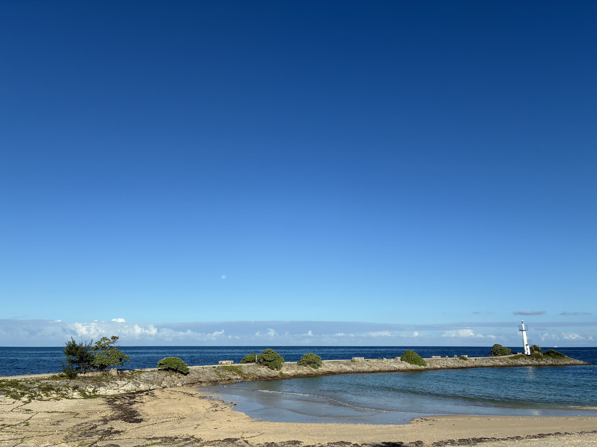 96C19161-C646-4AF4-BEE0-2B2CD5261220